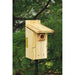 Ultimate Bluebird House