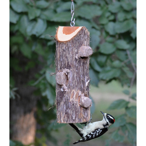 3 Plug Suet Log Without Perches
