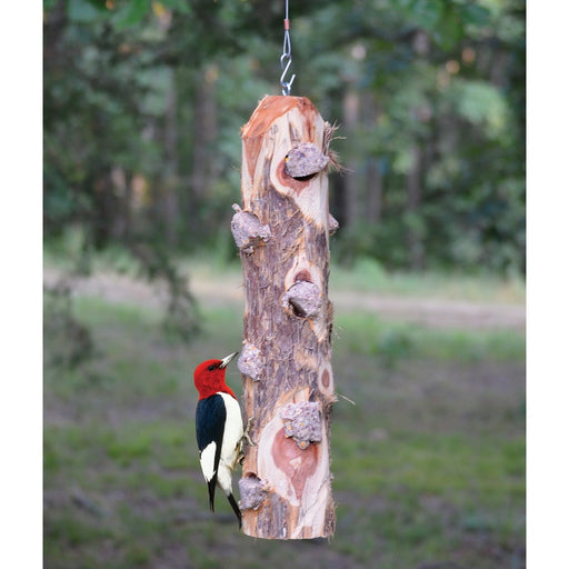 6 Plug Suet Log Without Perches