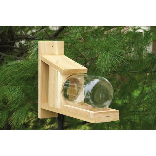 Squirrel Jar Feeder