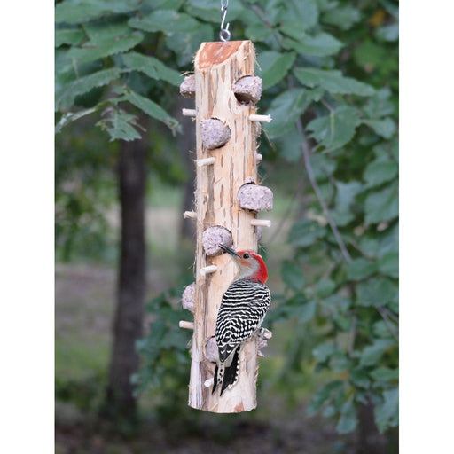 6 Plug Suet Log With Perches