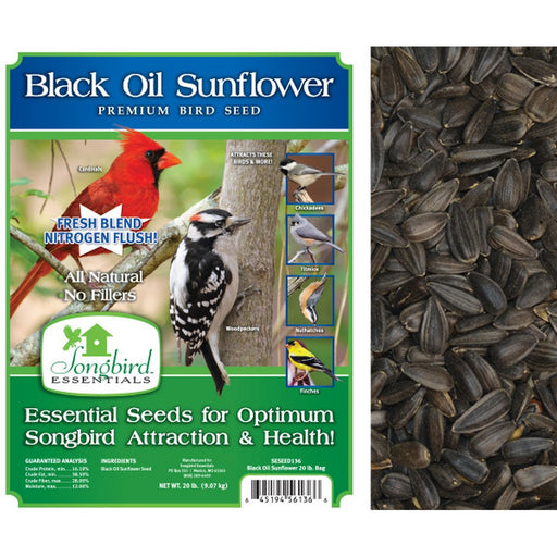 Songbird Black Oil, 20 lb. NF + FREIGHT