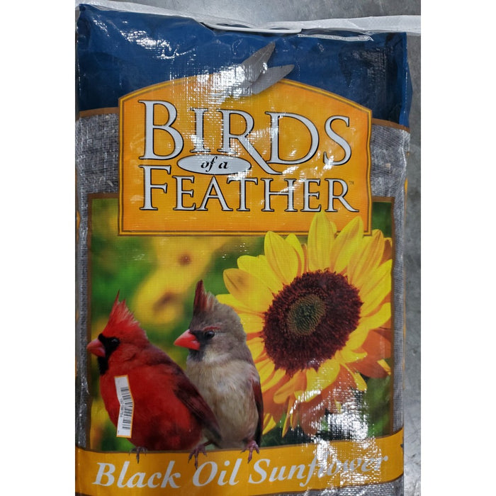 Black Oil Sunflower 20 lb. PWB
