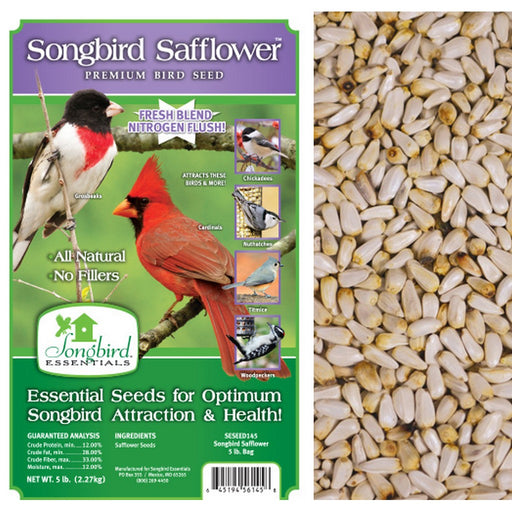 Songbird Safflower, 5 lb. + FREIGHT