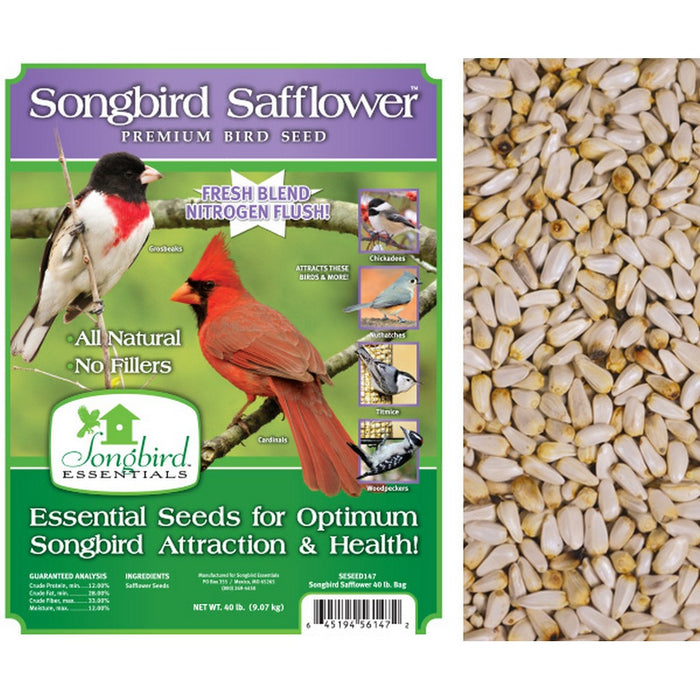Songbird Safflower, 40 lb. + FREIGHT