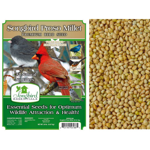 SONGBIRD PROSO MILLET, 20 LB + FREIGHT