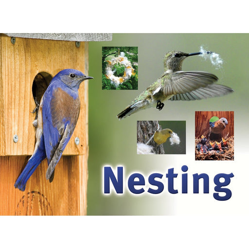 Nesting Sign