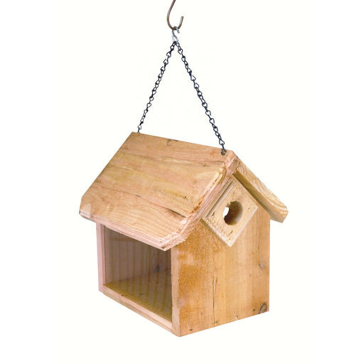 Hanging Bluebird Feeder