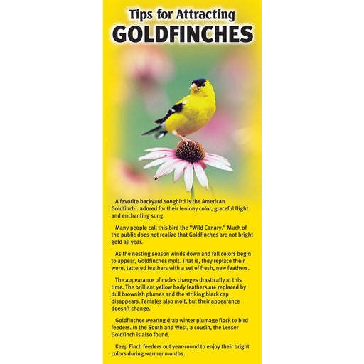 Tips To Attracting Goldfinches To Your Backyard Brochure