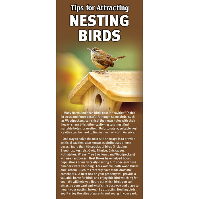 Tips To Attracting Nesting Birds To Your Backyard Brochure
