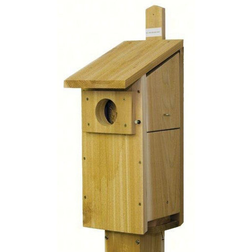Screech Owl/Kestrel House
