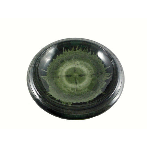 Hunter Green Gloss Bird Bowl w/Gloss Rim