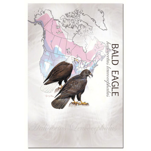 Bald Eagle Eco Notes