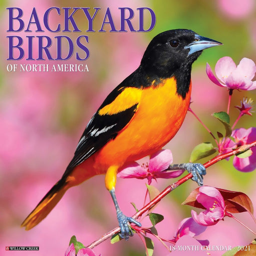 Backyard Birds 2021 Calendar