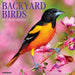 Backyard Birds 2021 Calendar