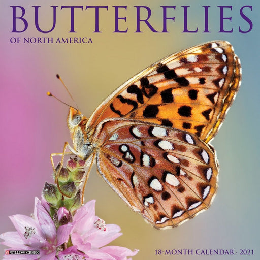 Butterflies 2021 Calendar