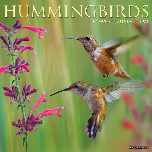 Hummingbirds 2021 Calendar