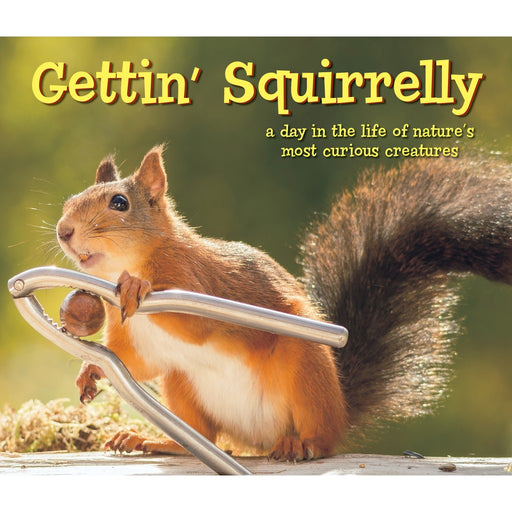 Gettin' Squirrelly