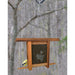 Grapes Etched Glass Birdfeeder