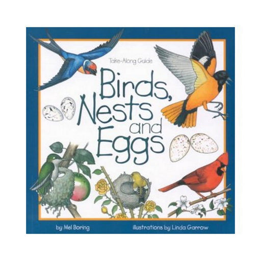 Birds Nests and Eggs