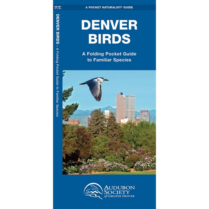 Denver Birds A Folding Pocket Guide to Familiar Species