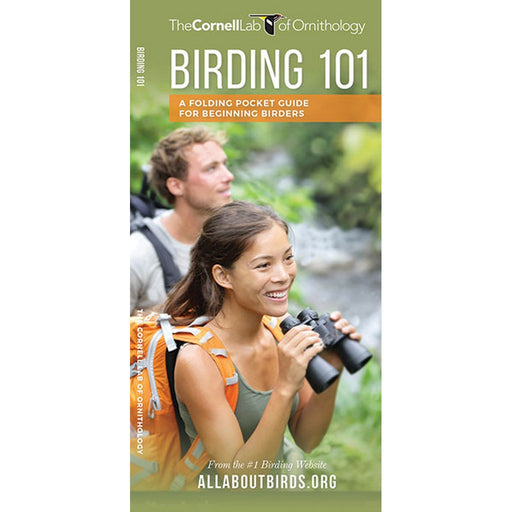 Birding 101