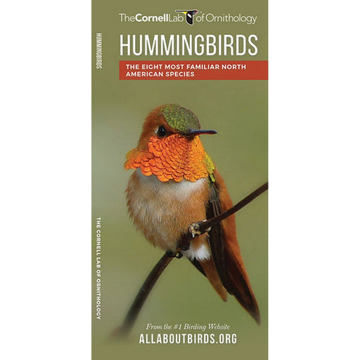 Hummingbirds by The Cornell Lab of Ornithology