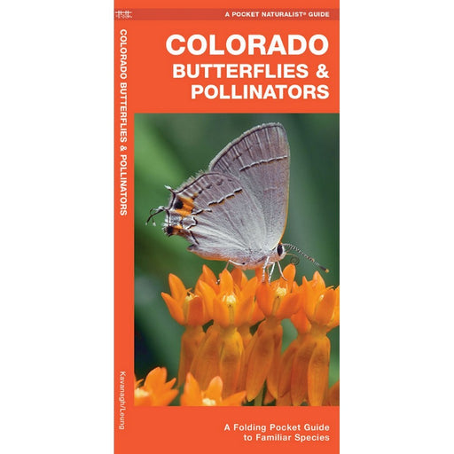 Colorado Butterflies & Pollinators Field Guide by James Kavanagh
