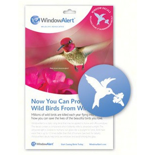 Hummingbird Decal (4 per package)