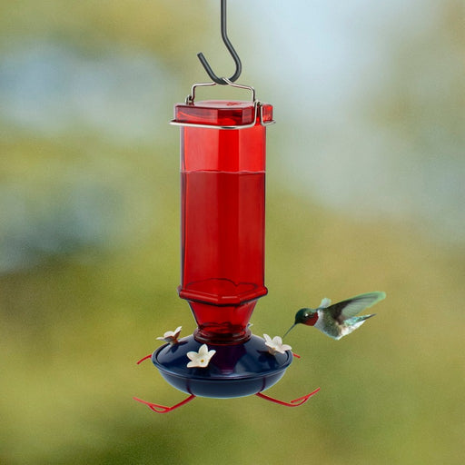 Patriotic Vintage Hummingbird