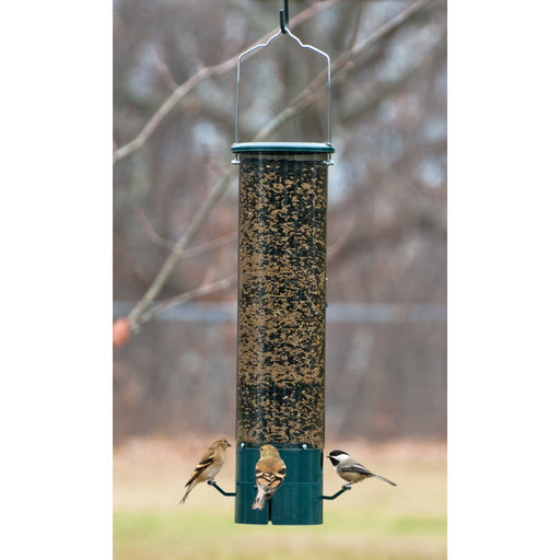 The Magnet Squirrel Proof Feeder