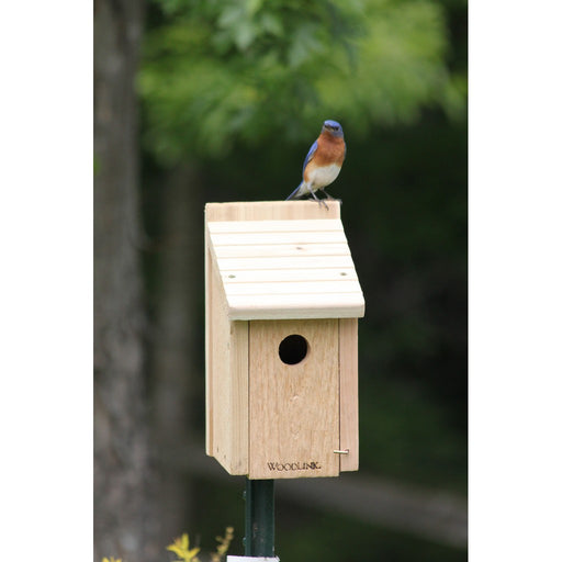 BlueBird House