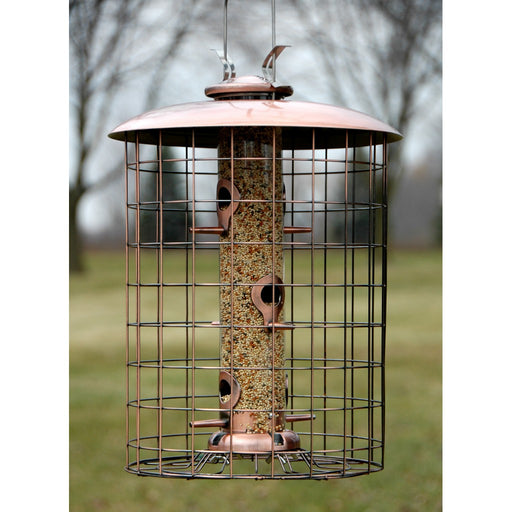 Coppertop Cages 6-Port Seed Feeder