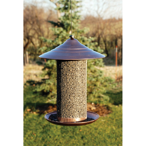 Coppertop Sunflower Tube feeder