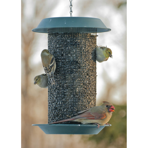 Magnum Sunflower Feeder 4 Qt.