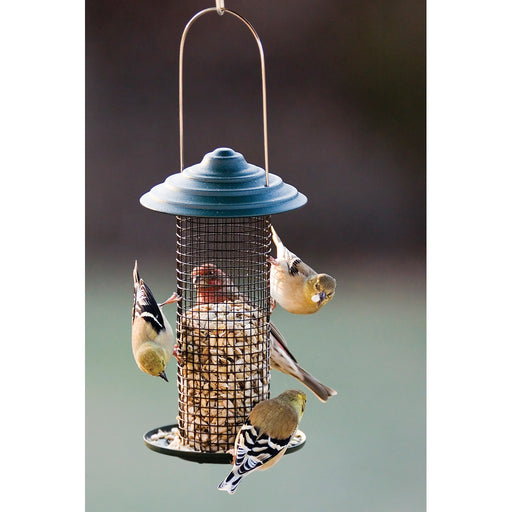 Magnum Sunflower Feeder 1 Pt.