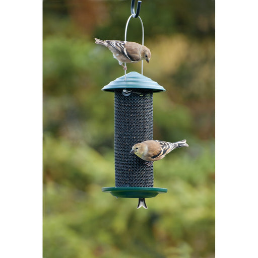 Magnum Thistle Feeder 1 Pt.