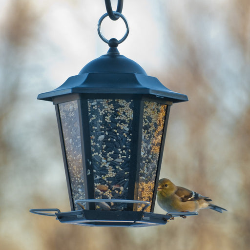 Black Carriage Lantern Feeder