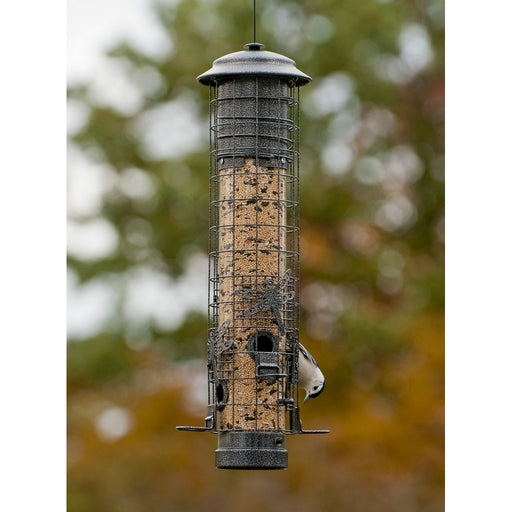 Dragonfly Squirrel Proof Feeder