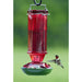 16 oz. Vintage Spirits Hummingbird Feeder