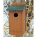 Going Green Bluebird House