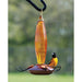 Oriole Feeder Cut Glass Amber