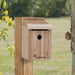 Cedar Wren/Chickadee House