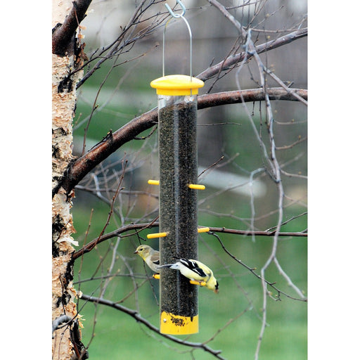 Tails Up Finch Feeder