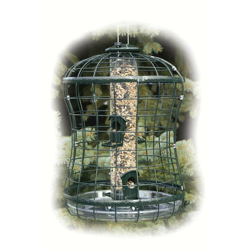 Caged Seed Tube Feeder