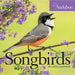 Audubon Songbirds 2021 Mini Calendar