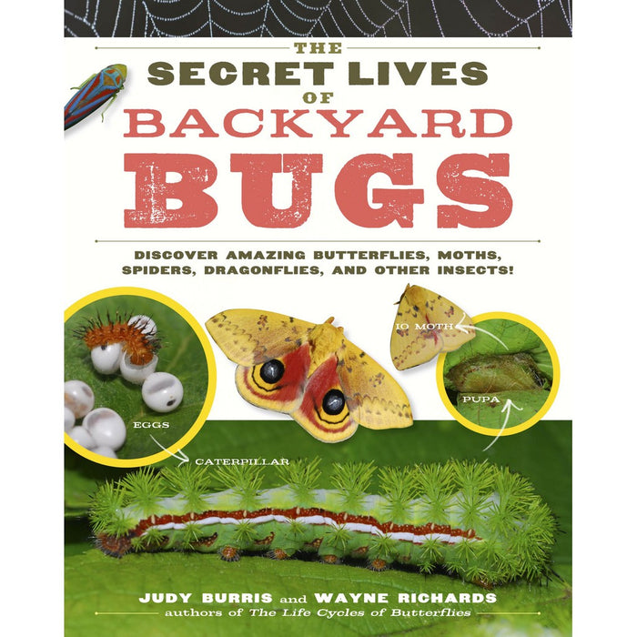 The Secret Lives of Backyard Bugs by Judy Burris & Wayne Richards