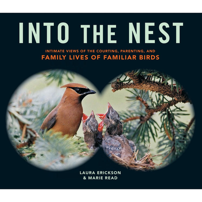 Into The Nest