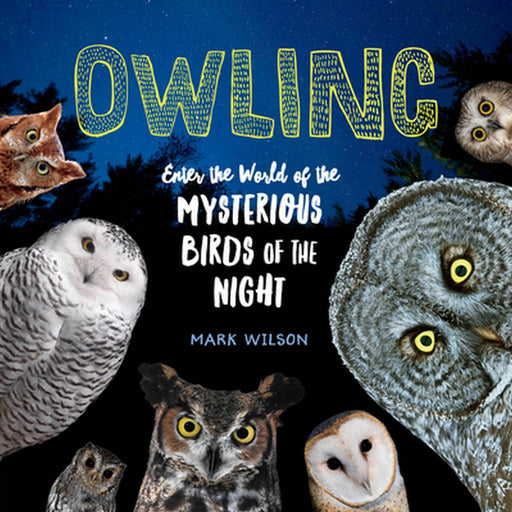 Owling by Mark Wilson