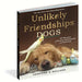 Unlikely Friendships: Dogs